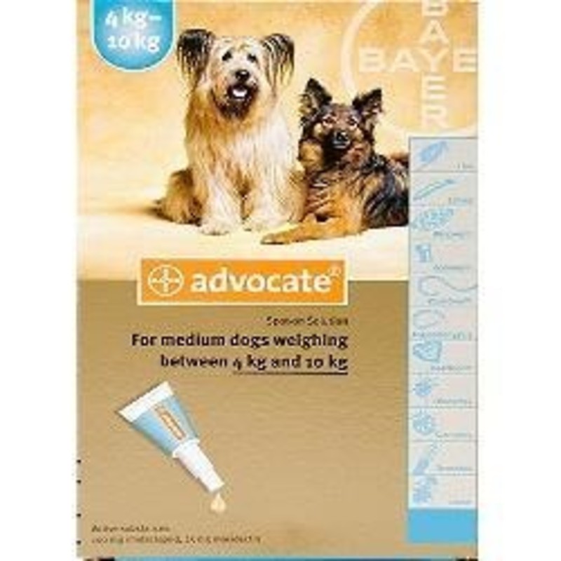 advocate dog treatment instructions